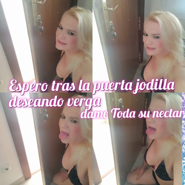 Turati top única y exclusiva tú ama semental climatizado