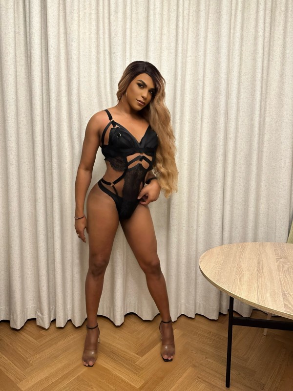 Mulata de lujo, NOVEDAD