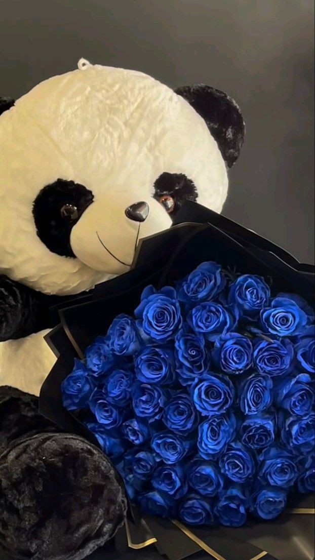 SE BUSCA CHICA PARA SALIDAS Y DESPLAZAMIENTO EN VA