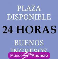 PLAZA Y HABITACIONES DAMAS DE COMPAÑIA