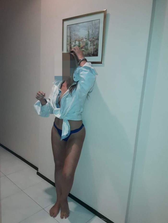 Sara gallega pequeña manejable no profesional