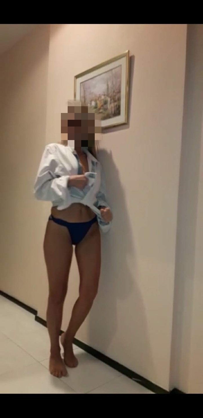 Sara gallega pequeña manejable no profesional