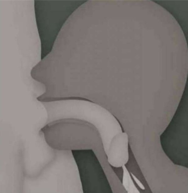 NOVEDAD EN LLEIDA  POLLON LEFERO 24H