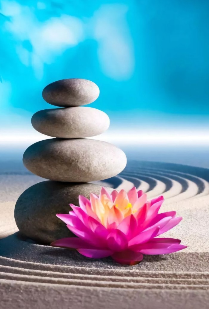 TU MEJOR PLAZA RESERVALA GETAFE