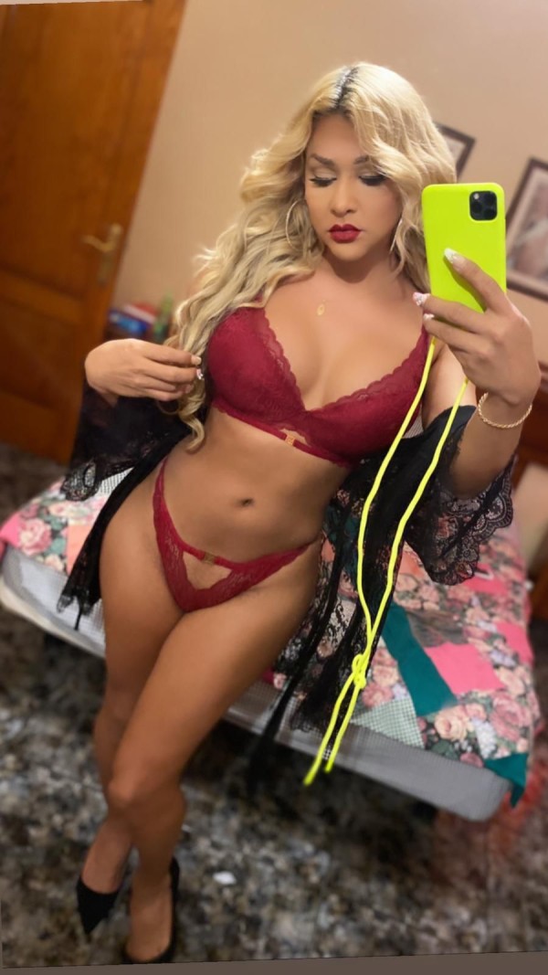 Cariñosa fogosa dominante experta con principiantes