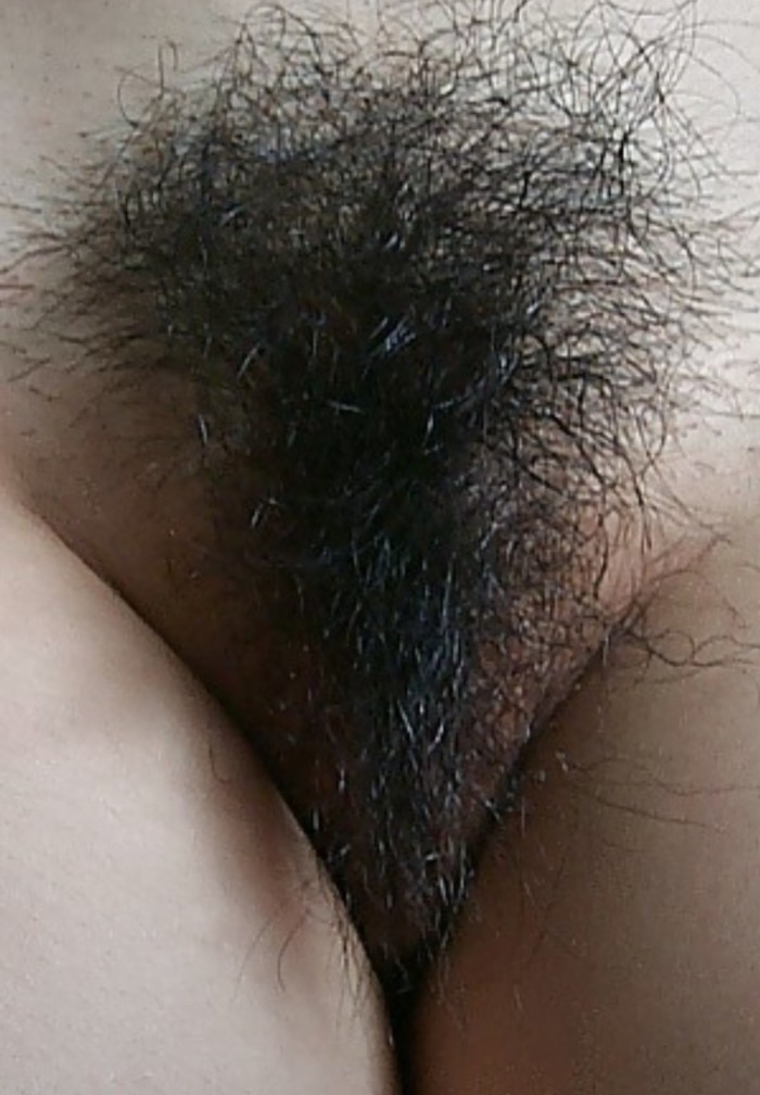 PELUDO Y FOGOSO DESDE 30/40/50 FIESTA