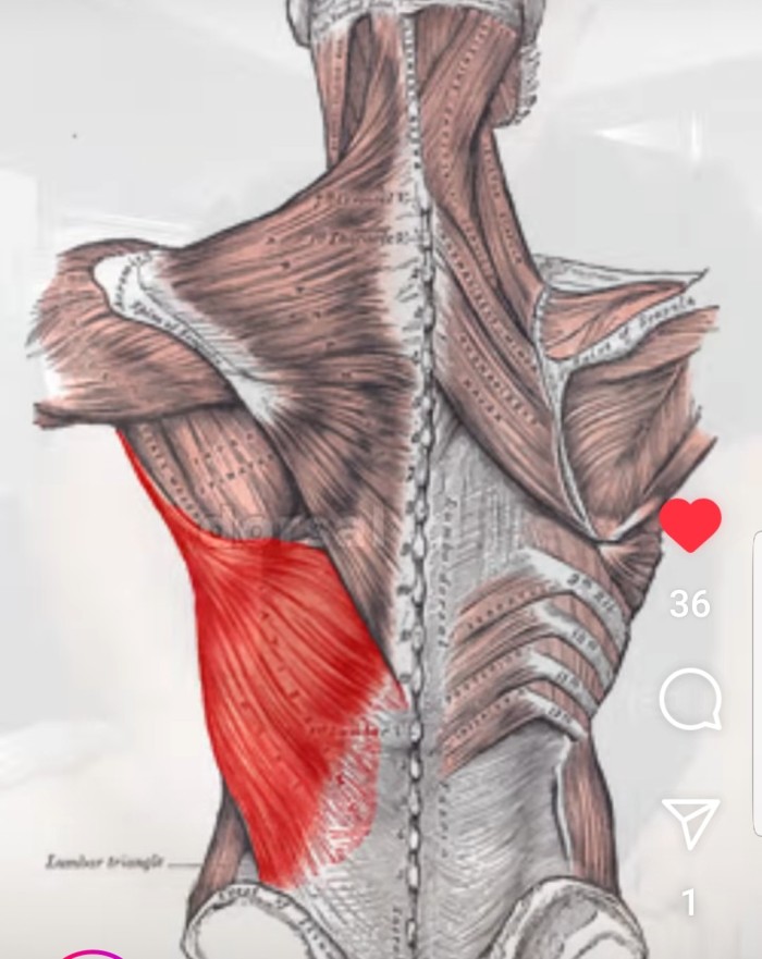 MASAJE PROFESIONAL RELAJACION CORPORAL
