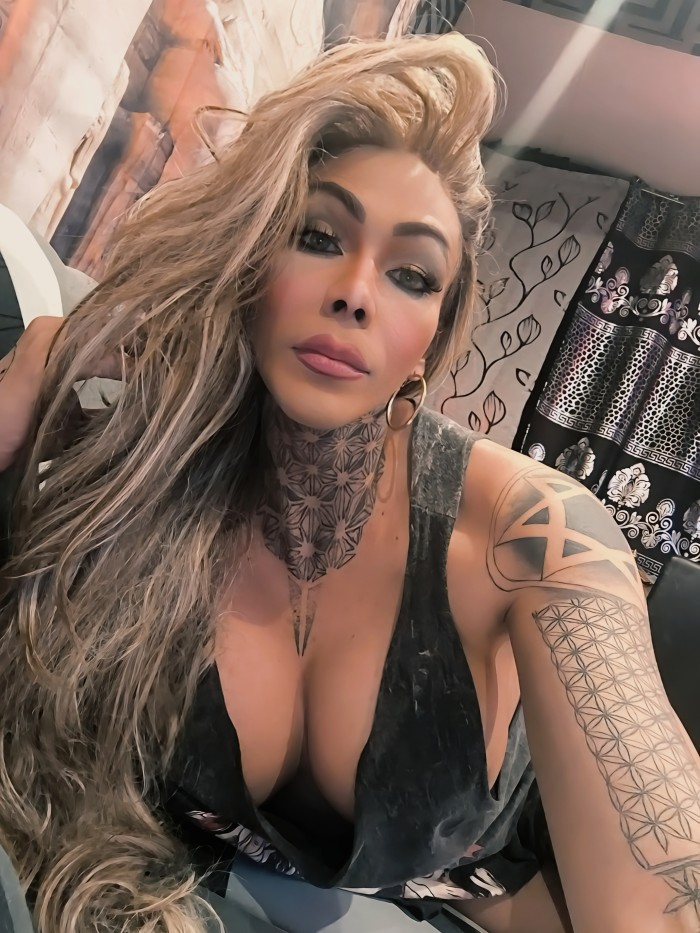 FIESTERA DOTADA 24 HRS