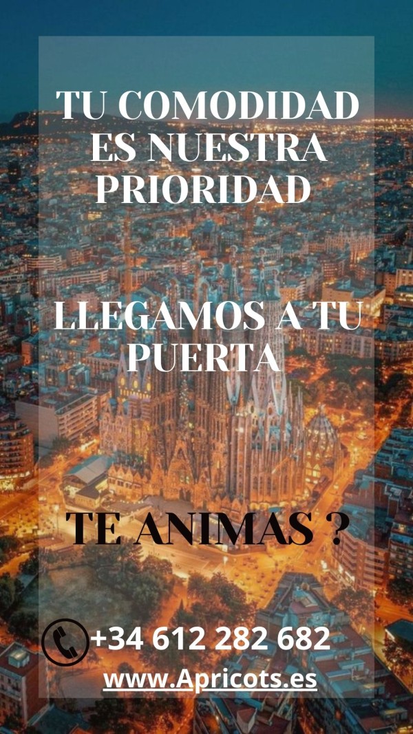 APRICOTS VA A TU CASA