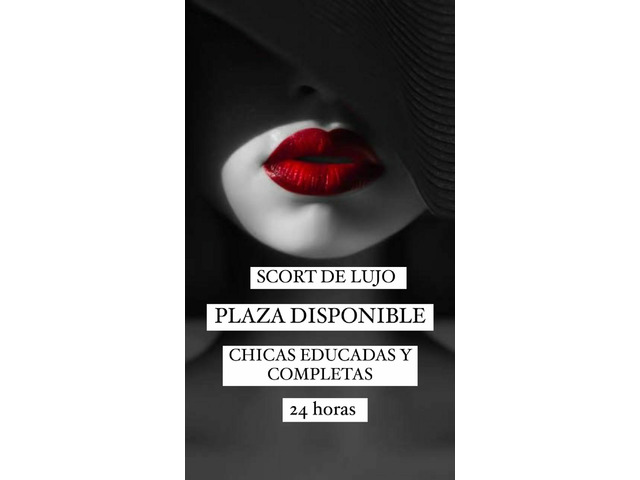 EXCELENTE PLAZA 24 HRS