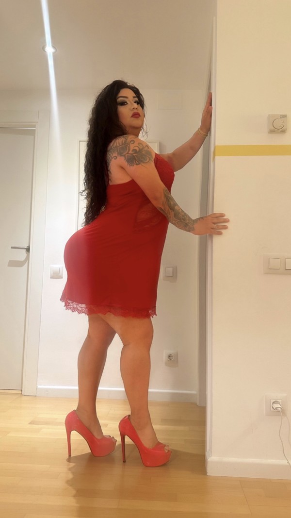 CULO TRAVIESO TRAGON Y JUGUETÓN TODO PARA TI