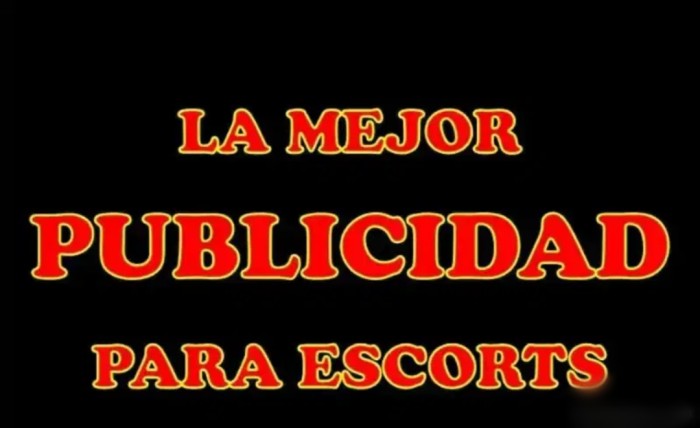 TELEFONISTA Y PUBLICISTA CON EXPERIENCIA