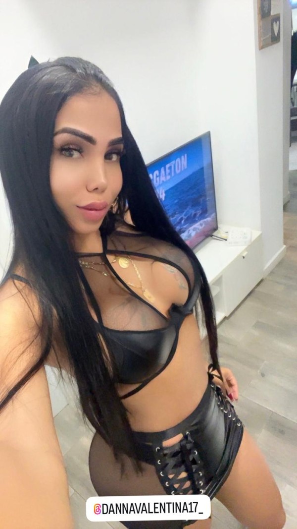 NOVEDAD TRANS A TOPE FIESTERA CAÑERA REAL