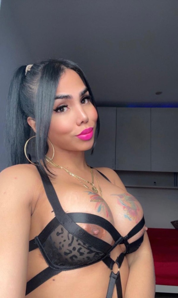 NOVEDAD TRANS A TOPE FIESTERA CAÑERA REAL