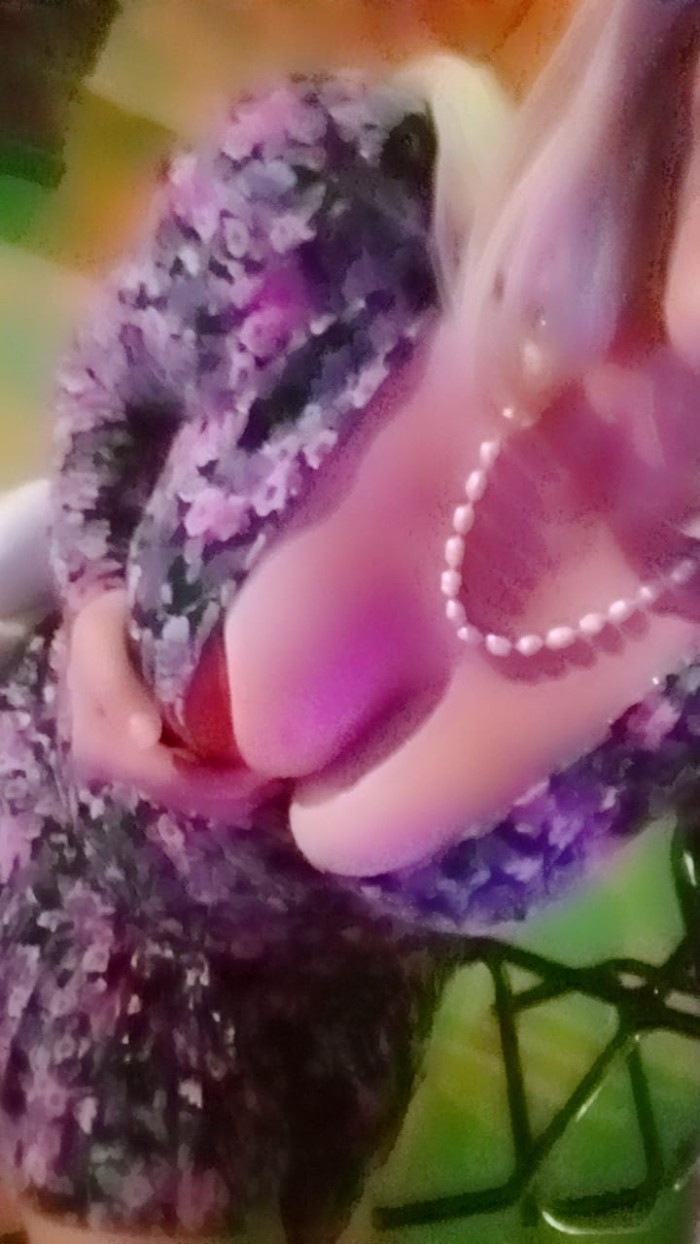 LA MAS FOLLADORA Y ENCANTADORA DE VALENCIA