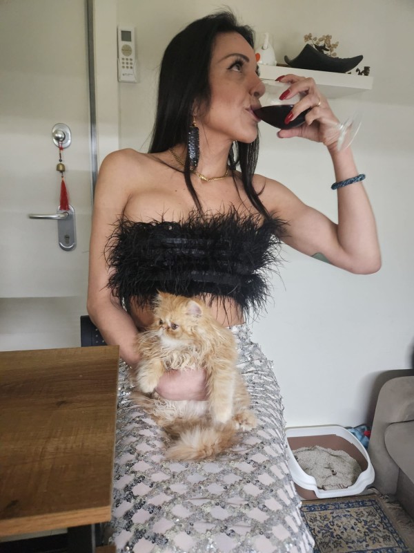 Seré tu amante confidente fiestas largas y cortas