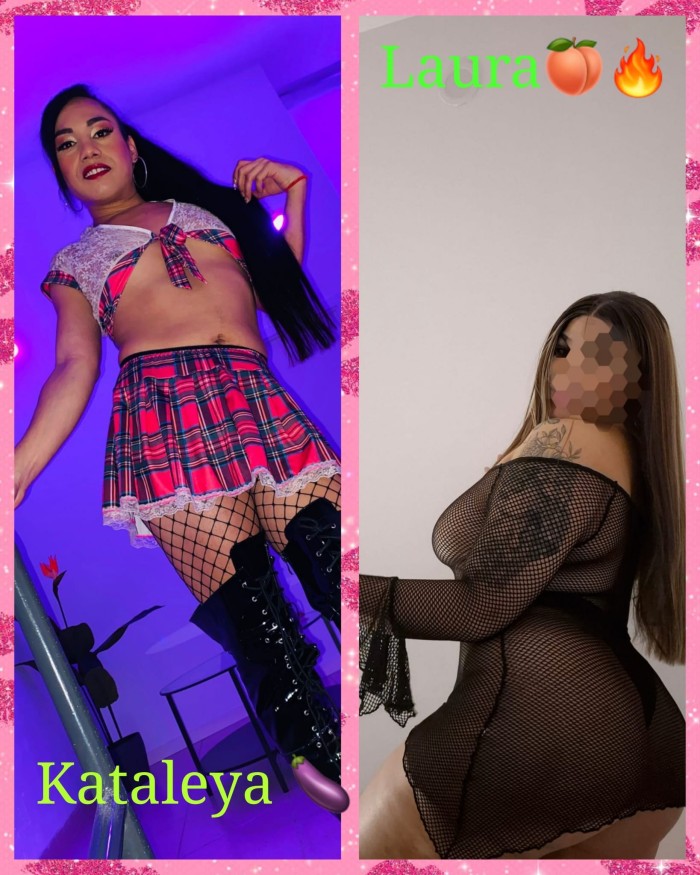 PACK DE 3 H POR 240€CON TRANS FIESTERA Y PUTIT