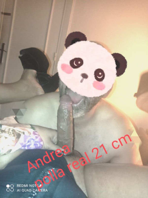 Mulata fiestera morbosa XXL