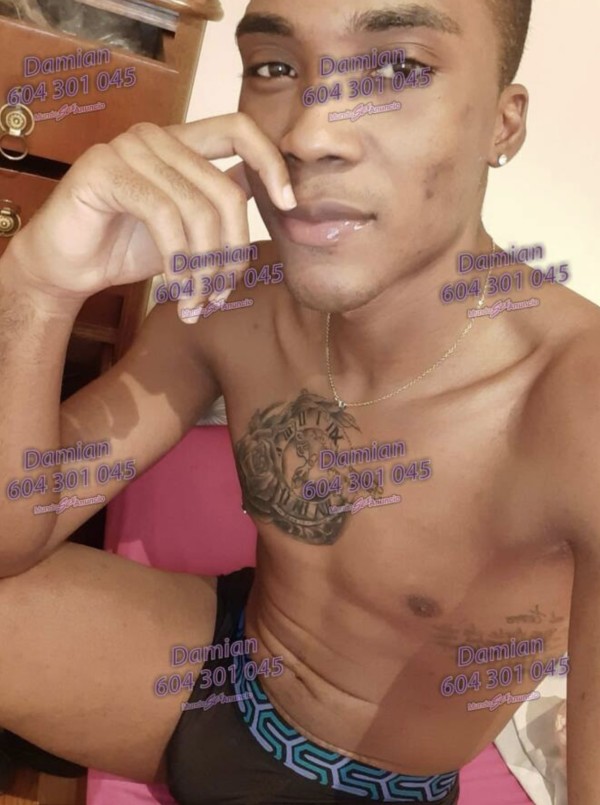 DAMIÁN LATINO XL POLLON