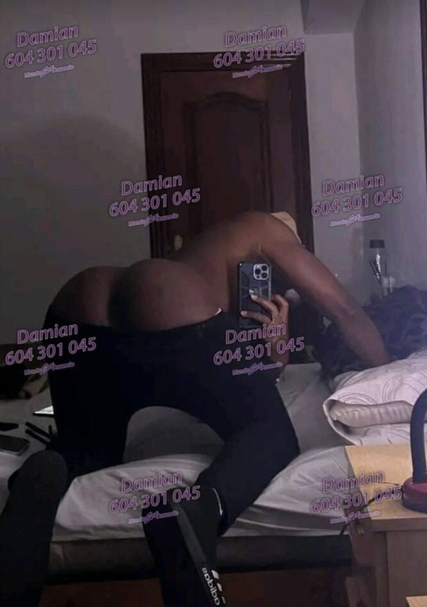 DAMIÁN LATINO XL POLLON