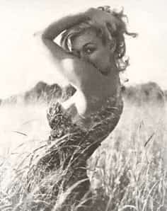 Realizo salidas Hoteles y Domicilio 200€ 2 hrs