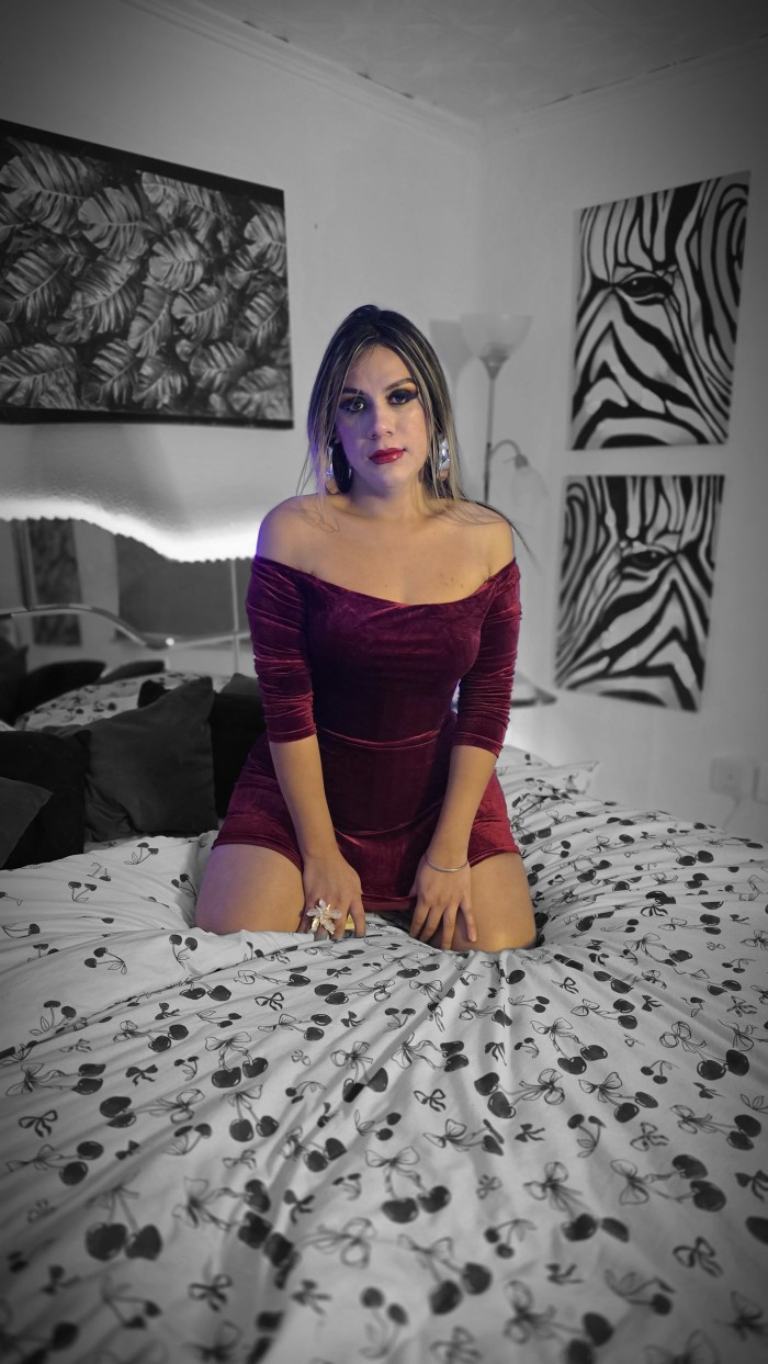 SOFIA 613492903, SOFIA TRANS FIESTERA TRAGA LECHE