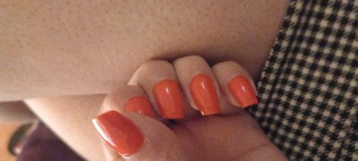 Gatita recién llegada a tu ciudad mis amores