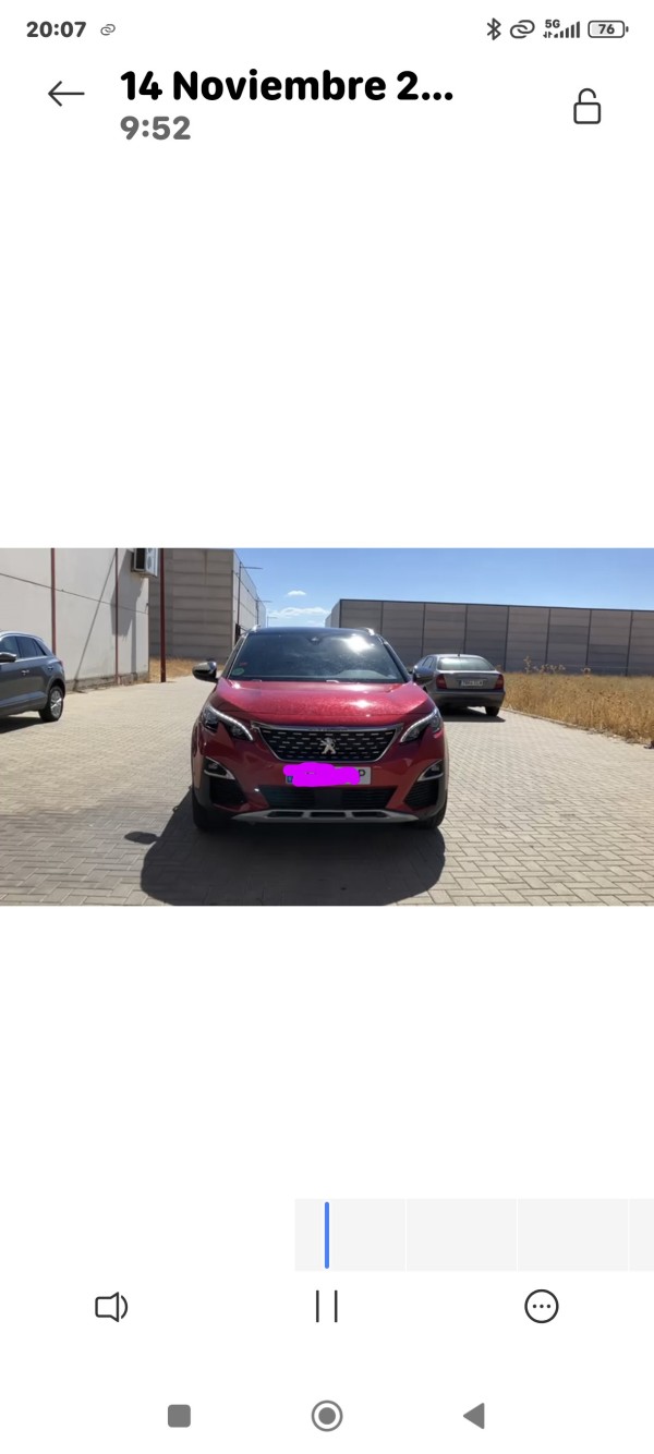 Chófer partícular económico