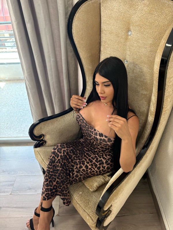 Latina-pollona-Trans