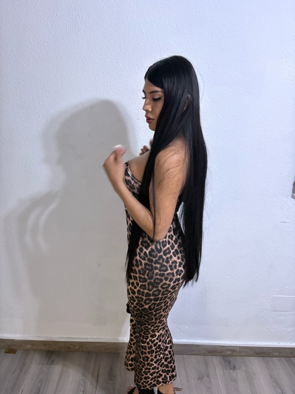 Latina-pollona-Trans