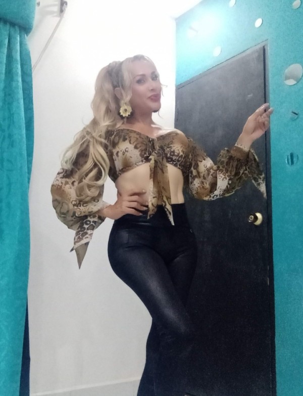Trans latina Granada