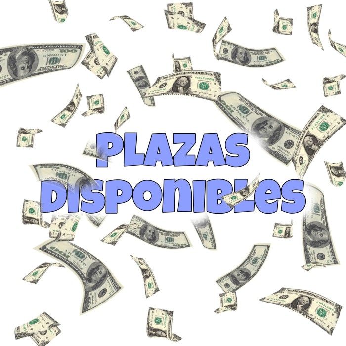 PLAZAS DISPONIBLES