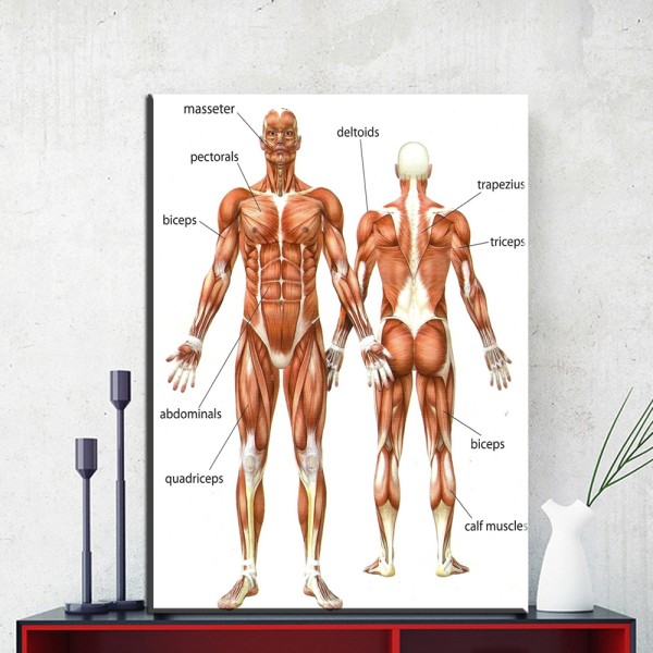 Potentes masajes de cuerpo completo 672501467