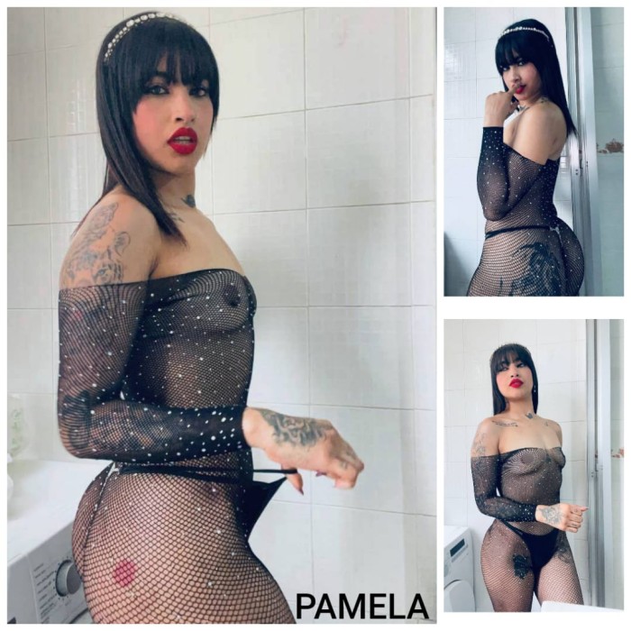 AMIGUITAS CARIÑOSAS PARA CABALLEROS DE BUEN GUSTO