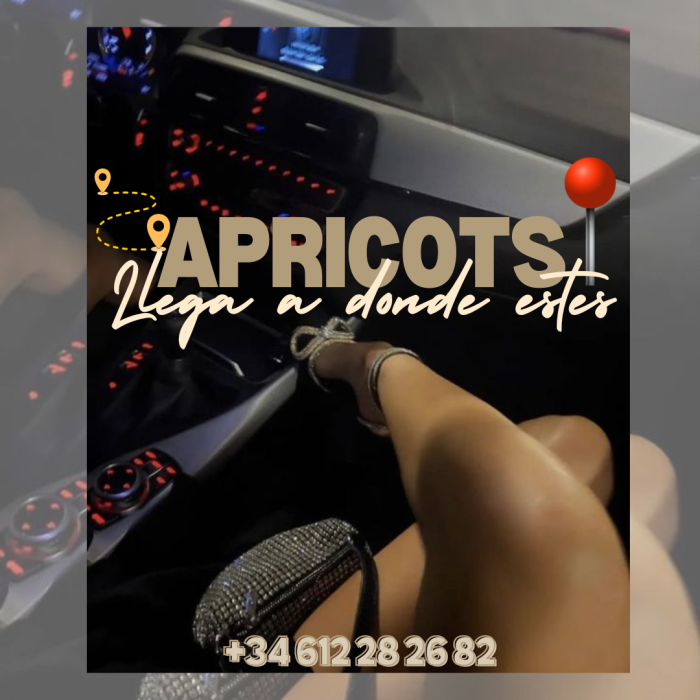 The perfect company, delivered to your door