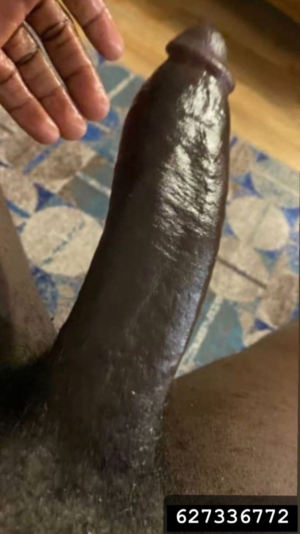 Negro African baraclona