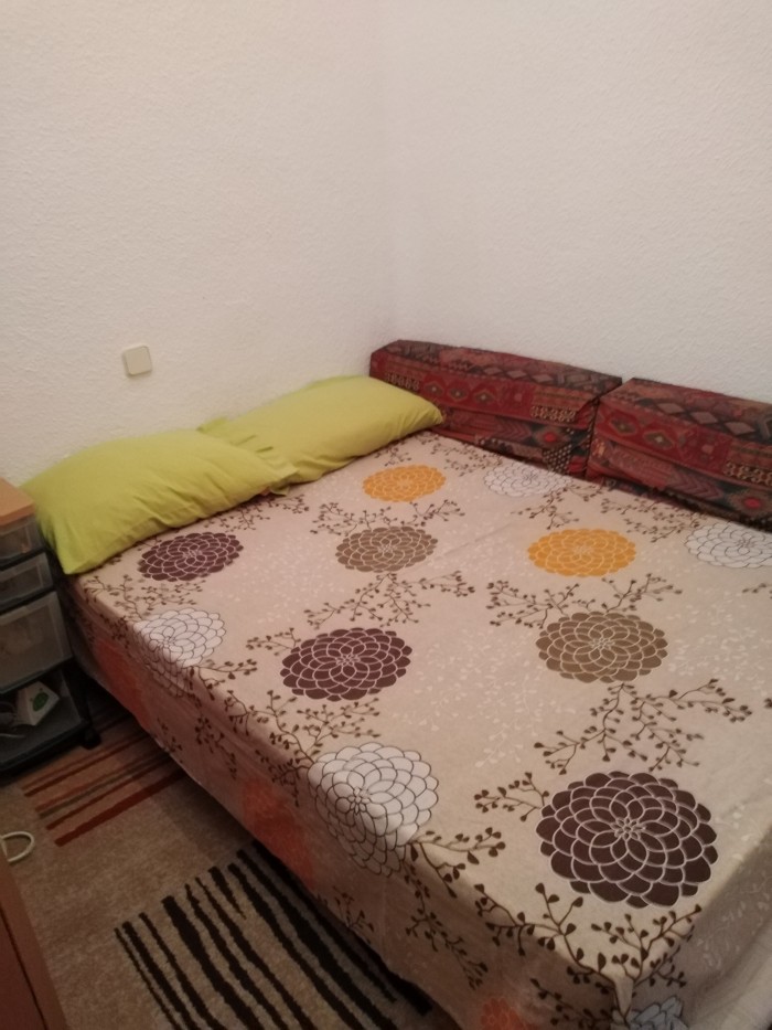 Alguna chica joven soltera busca habitación sin co