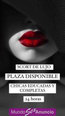 Plaza disponible para chicas altos ingresos semana