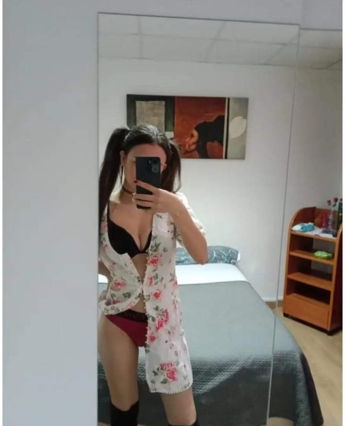 Novedades
