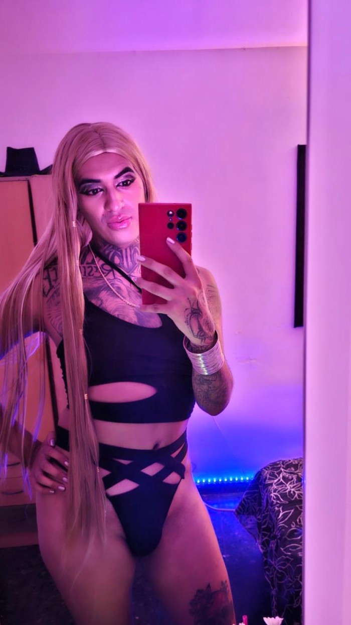 NOVEDAD FIESTERA A TOPE SOL TRANS CD