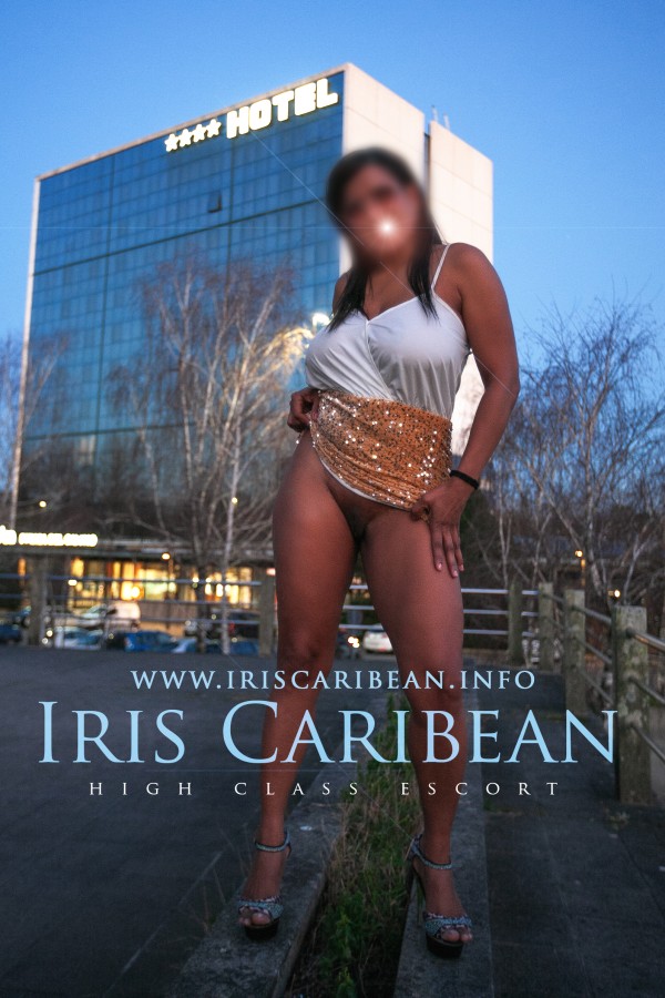 DE NUEVO EN SANTIAGO (SALGUEIRIÑOS ARRIBA) – IRIS CARIBEÑA