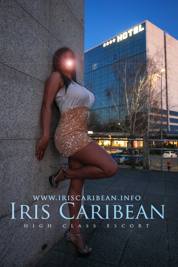 DE NUEVO EN SANTIAGO (SALGUEIRIÑOS ARRIBA) – IRIS CARIBEÑA