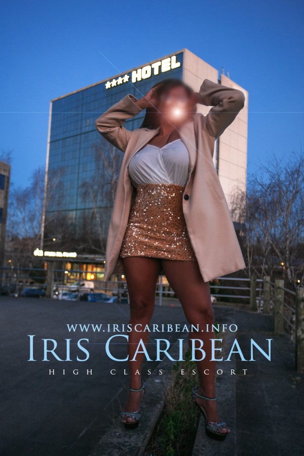 DE NUEVO EN SANTIAGO (SALGUEIRIÑOS ARRIBA) – IRIS CARIBEÑA