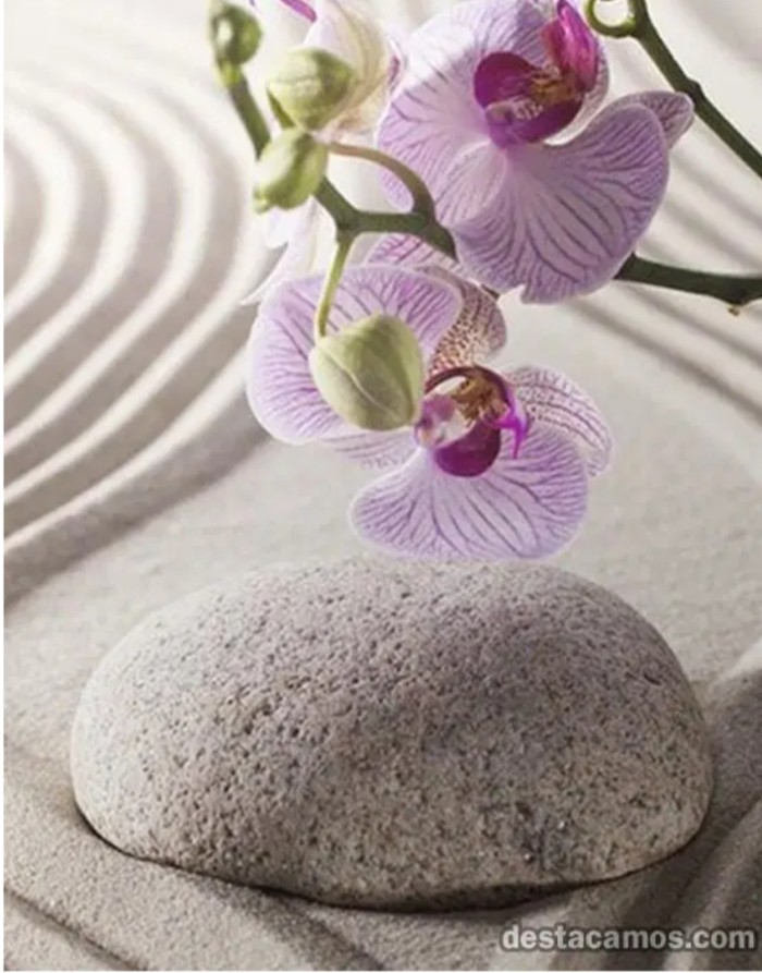 Alina una mujer de lujo*elegante y con mucho clase