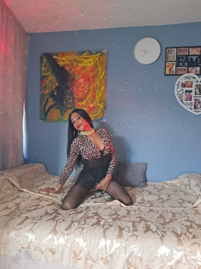 Trans cubana