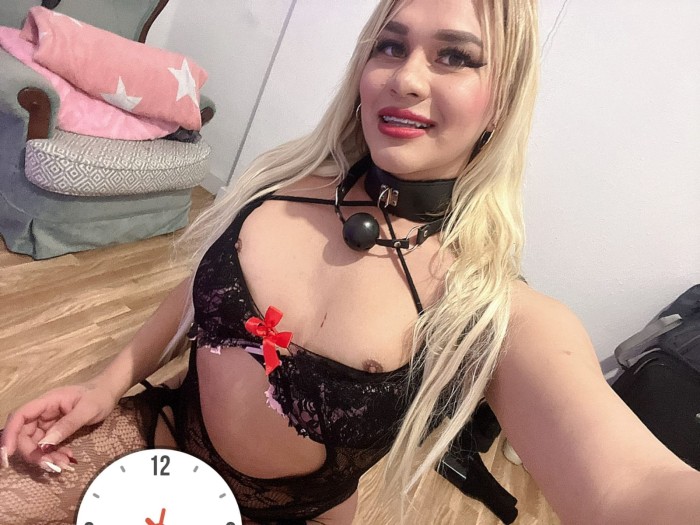 TE DOMINO COMO MI PERRA TE ORDENO QUE ME LA CHUPES