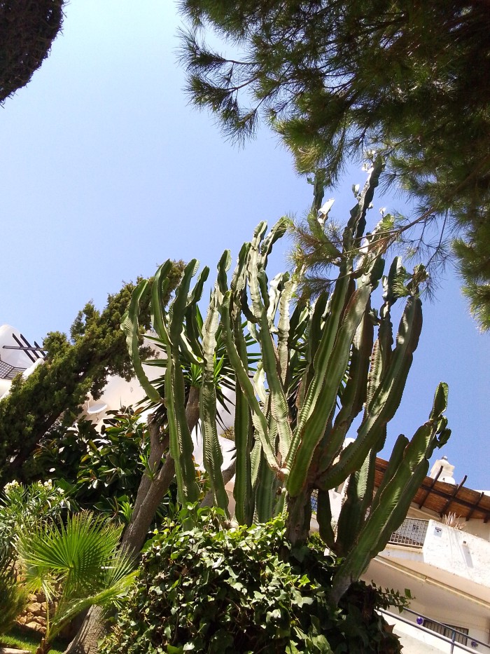 Madurita no profesional para citas