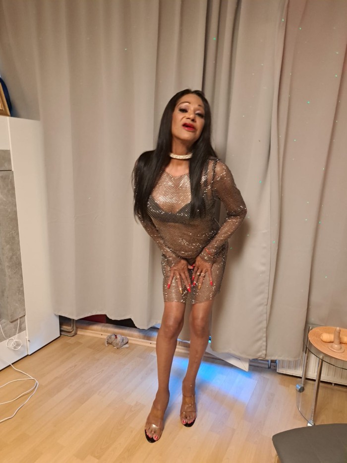 Trans cubana