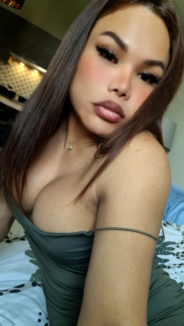 TRANS LATINA HOT…MÁLAGA-CENTRO