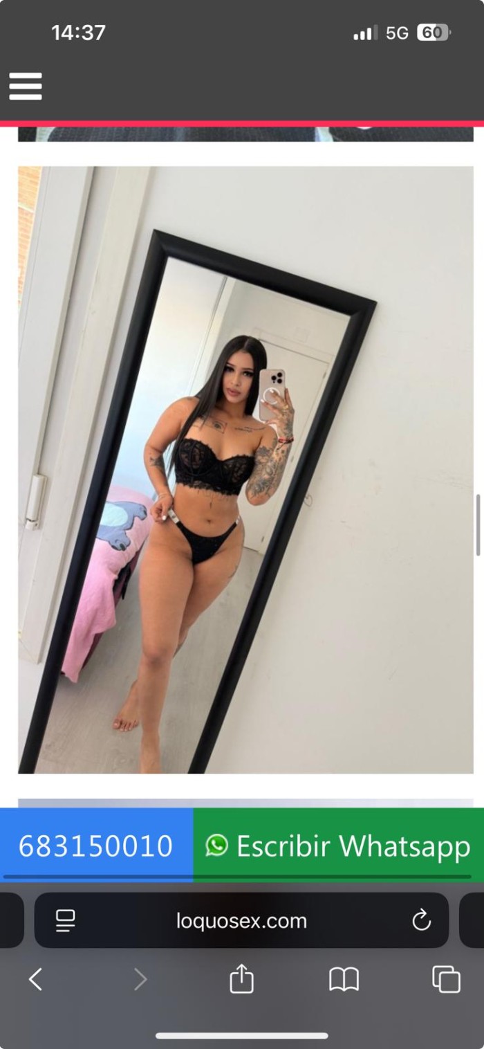 Ariana latina